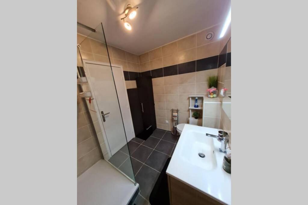 Chez Romain, Appartement Proche Commerces Et Centre Ville Avec Wifi Verdun-sur-Meuse ภายนอก รูปภาพ